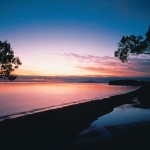 ユニークニュージーランド